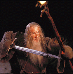 lord of the ring